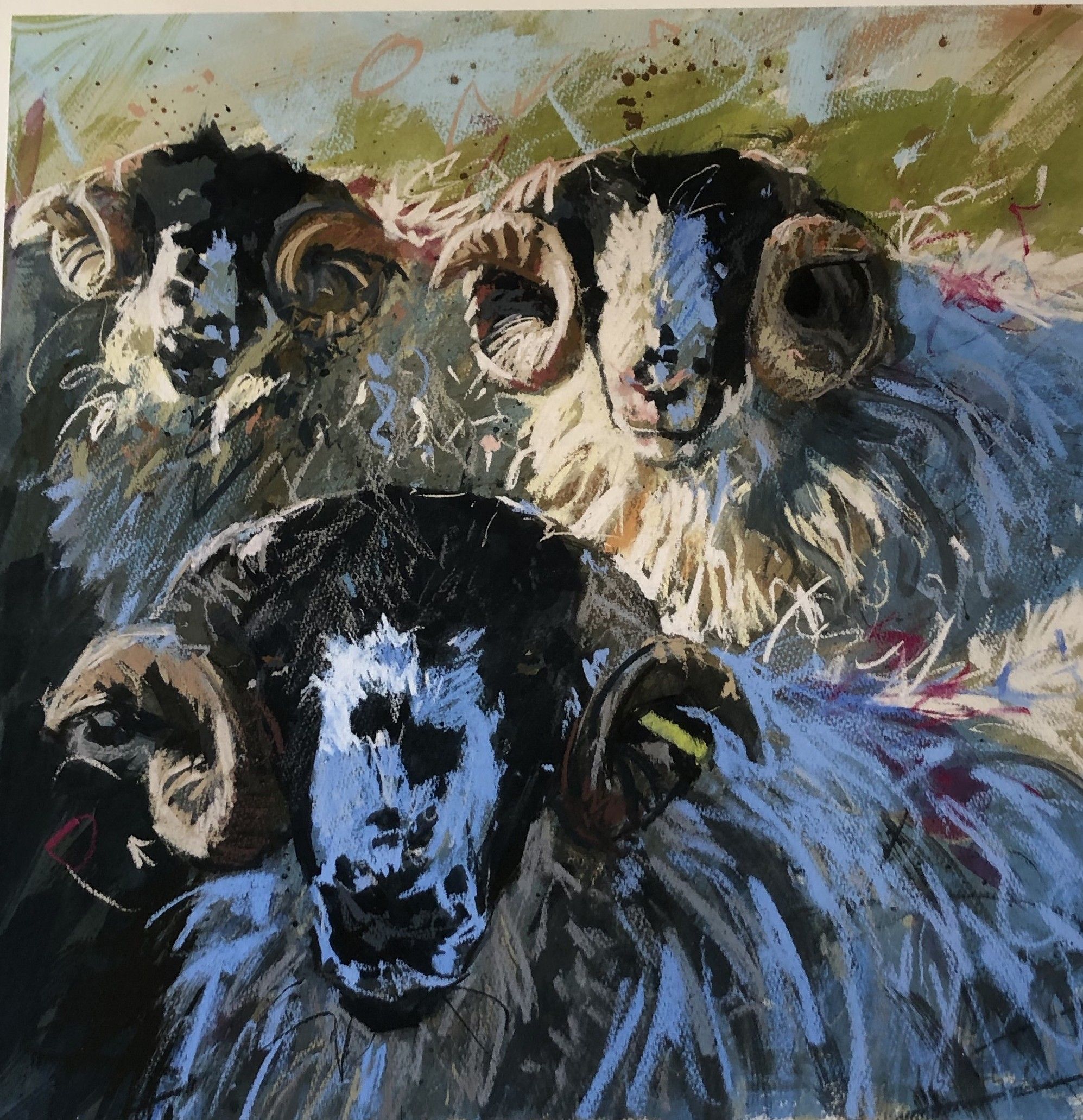 Rough Fell Tups by James Bartholemew