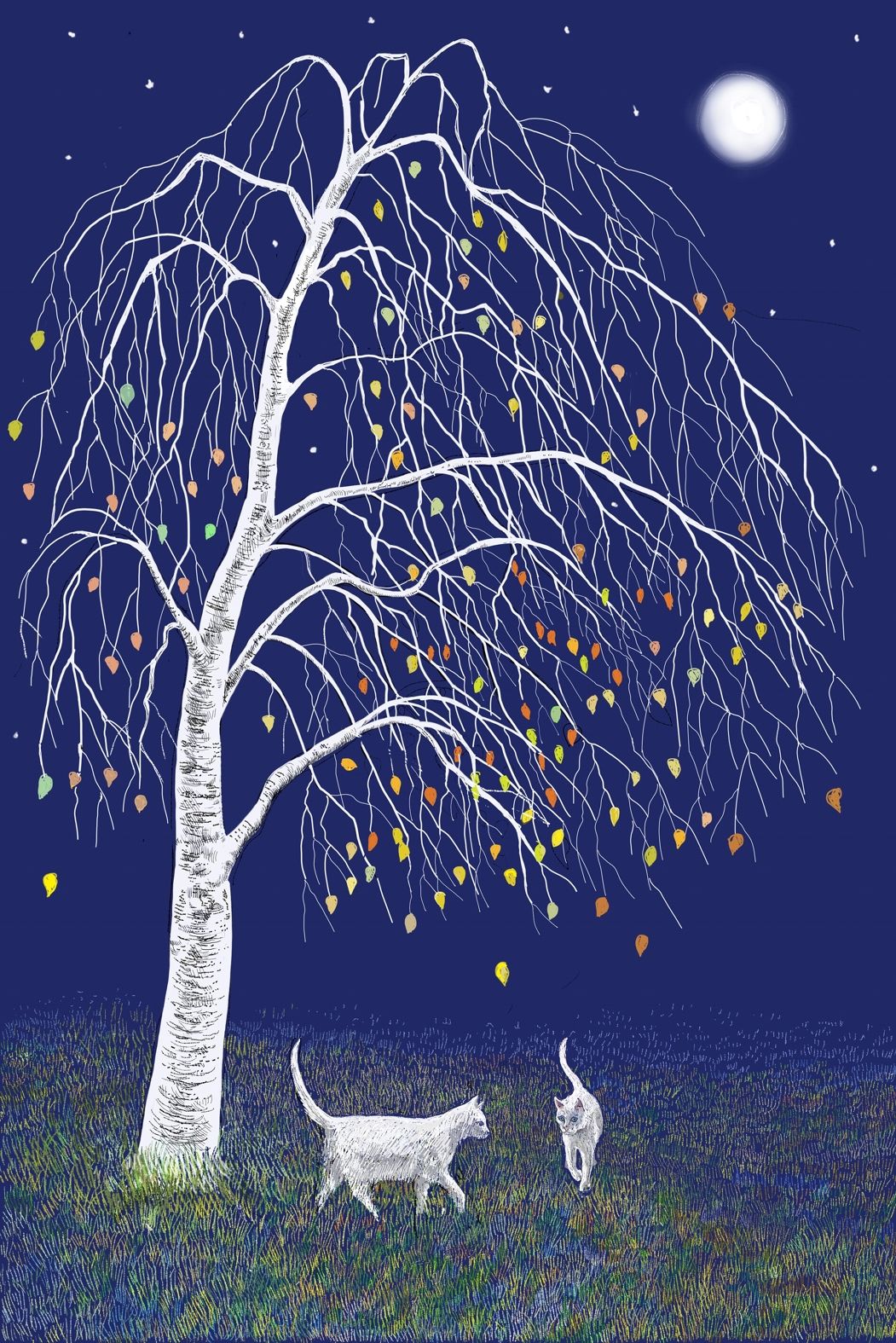 Moonlit Meeting by Jane Peart