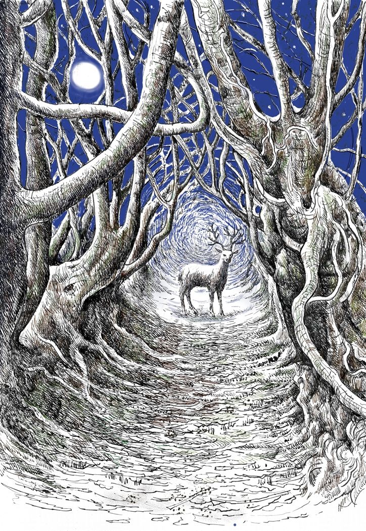 Secret Path by Jane Peart