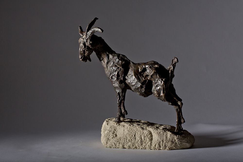 On Top of the World by Jane Shaw