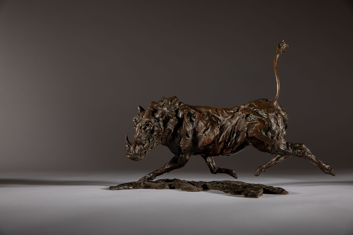 Running Warty, Warthog by Jane Shaw
