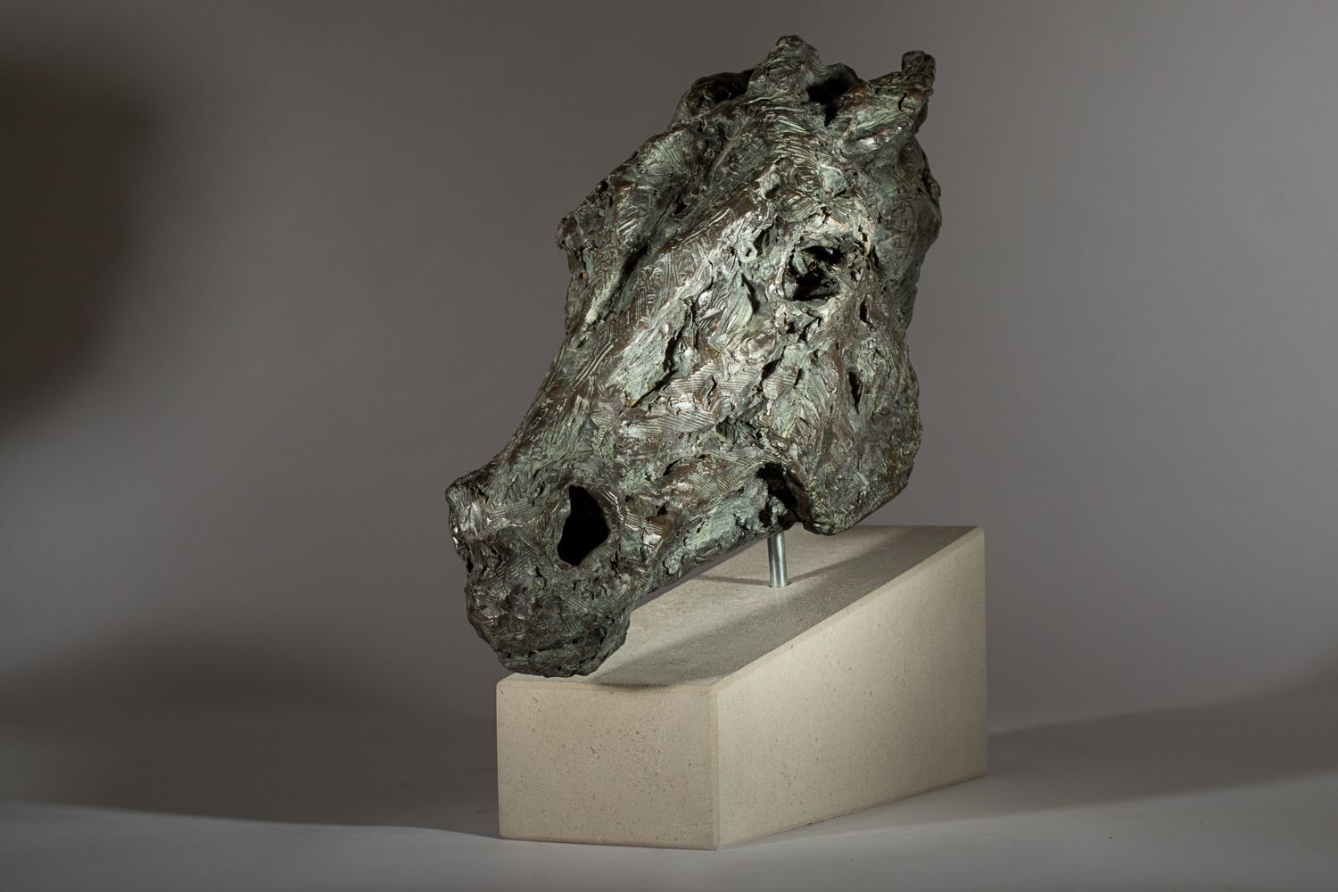 Wild. Head of a Horse by Jane Shaw