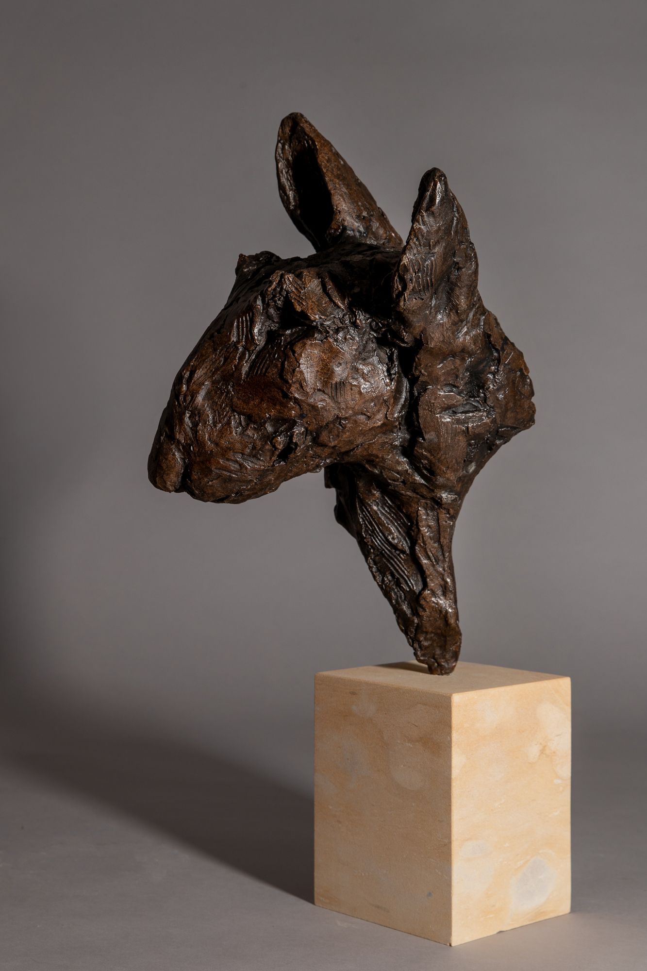 Big Softy. Head of a Bull Terrier by Jane Shaw