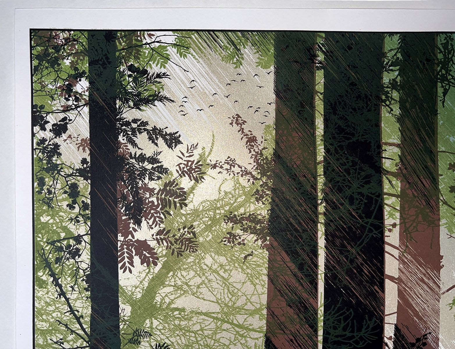 Shafts of Light by Chris Keegan - Secondary Image