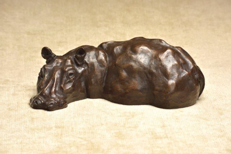 Luangwa Hippo by Julia Cassels