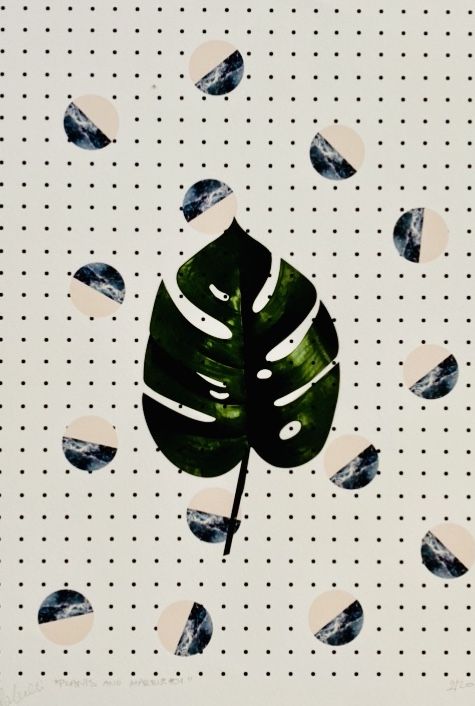 Plants and Marble #1 by Fei Alexeli