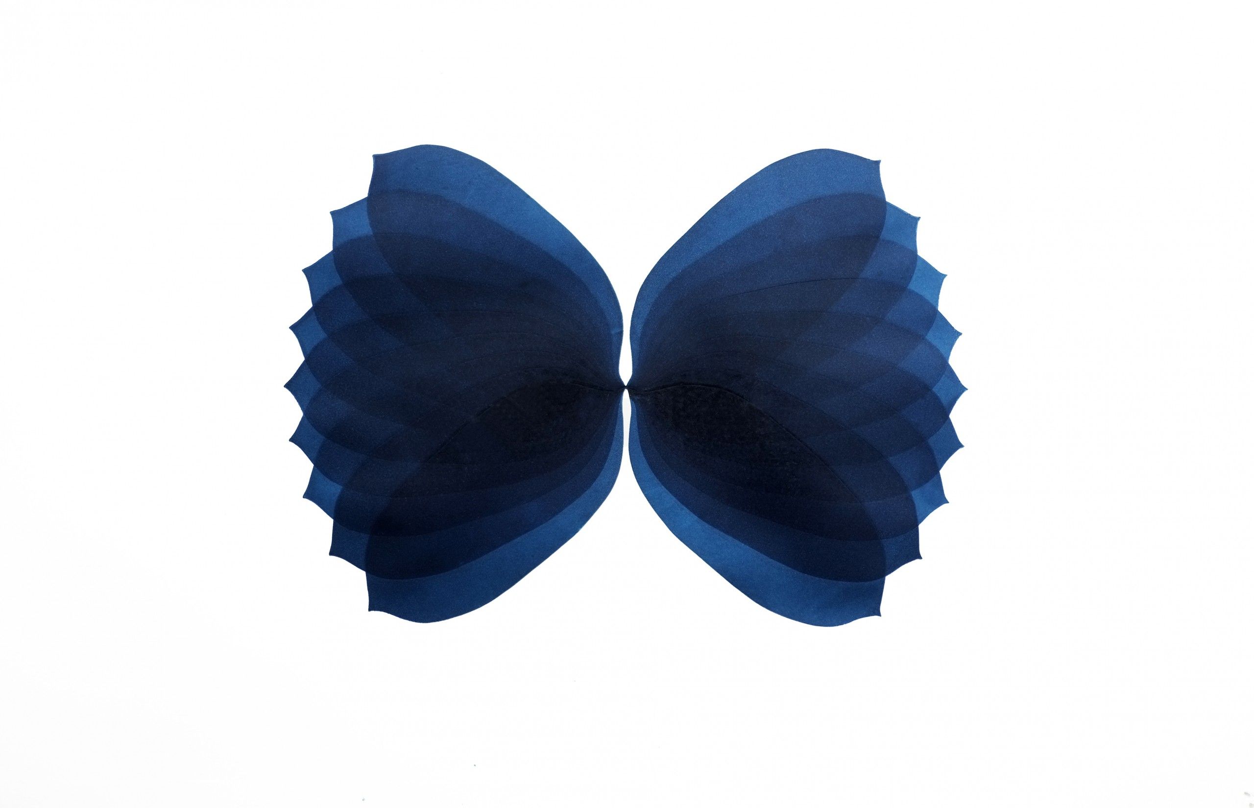 NV22 by Jonathan Moss