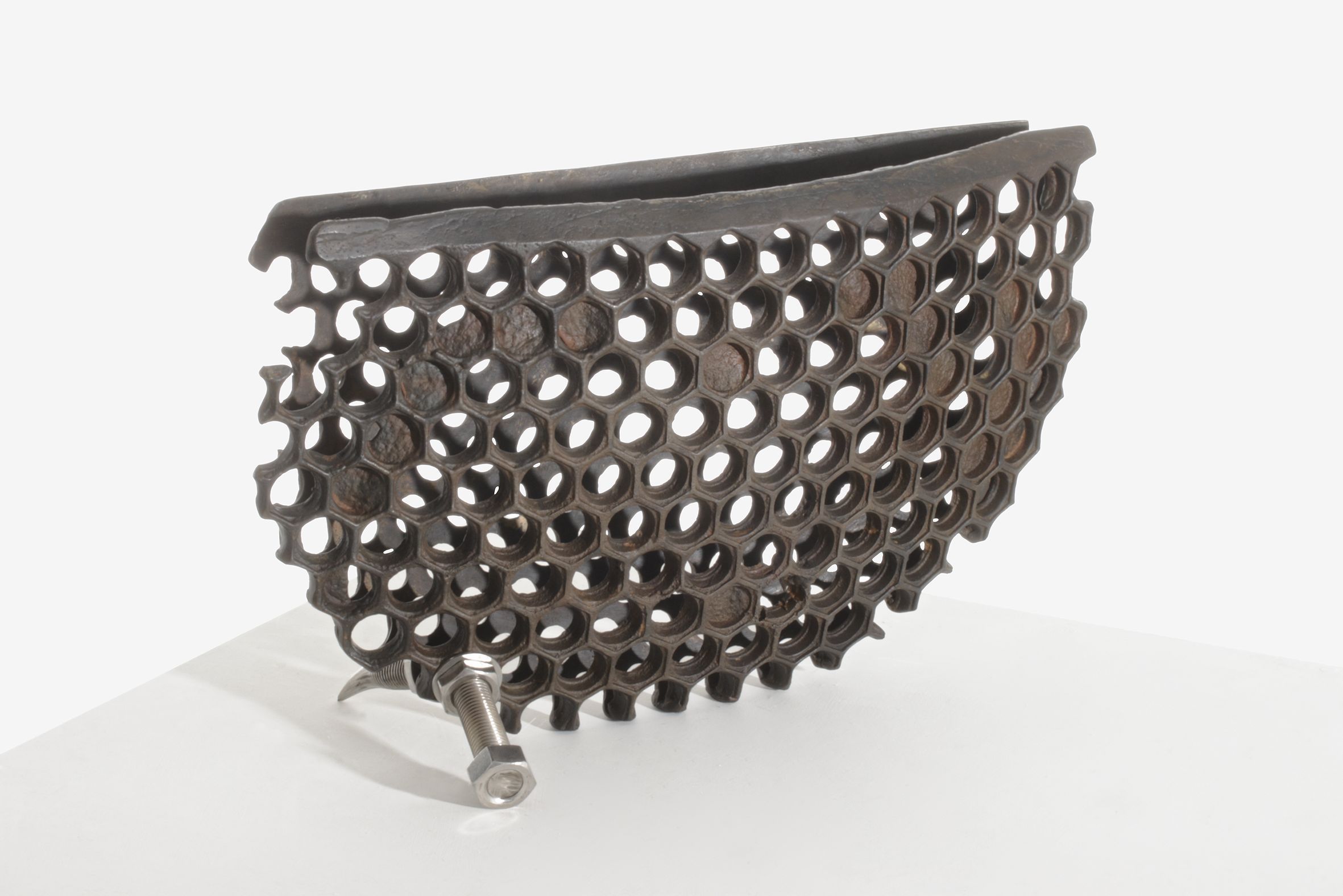 Hard Nuts by Robert Harding