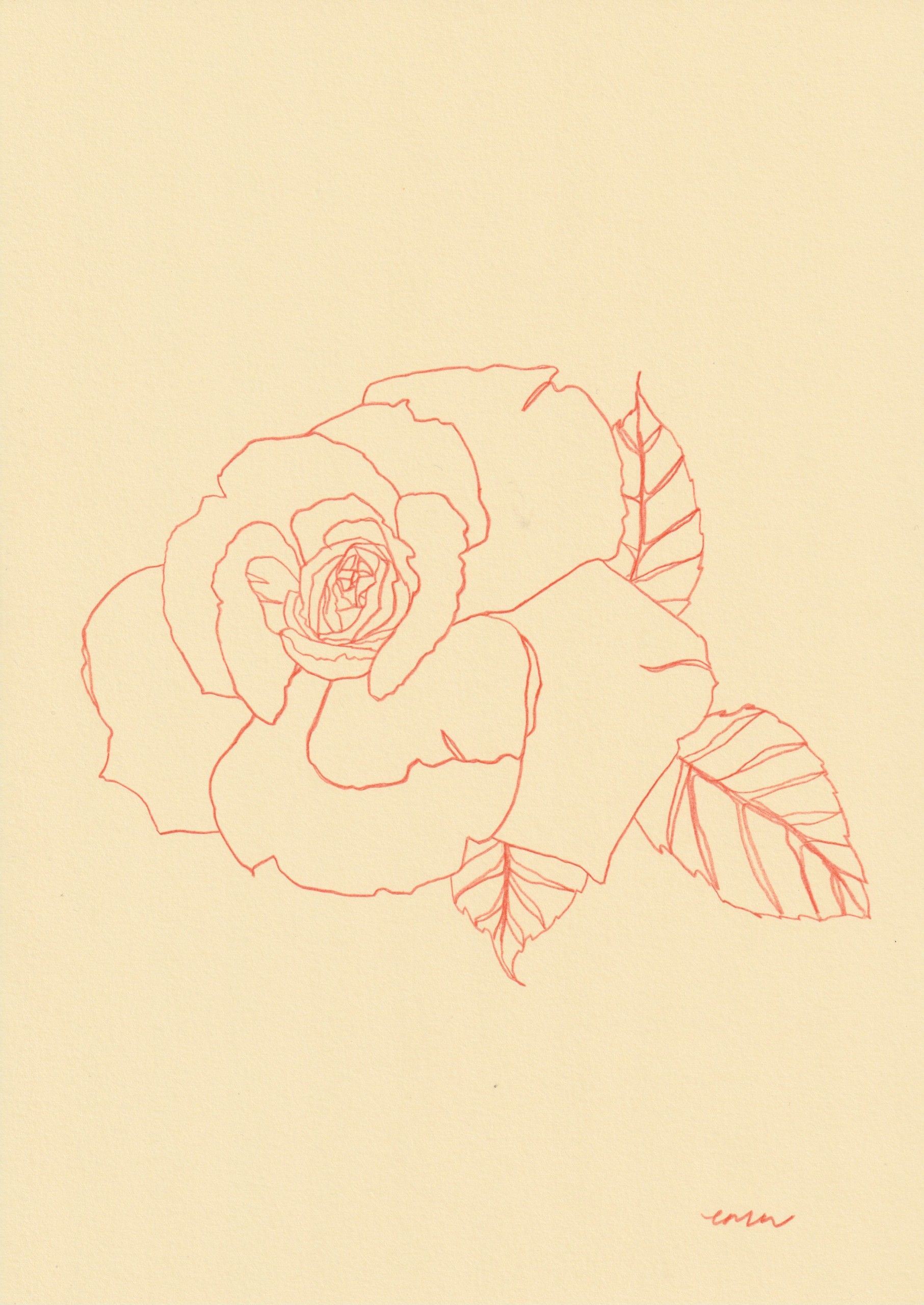 Rose 13 by Ellen Williams