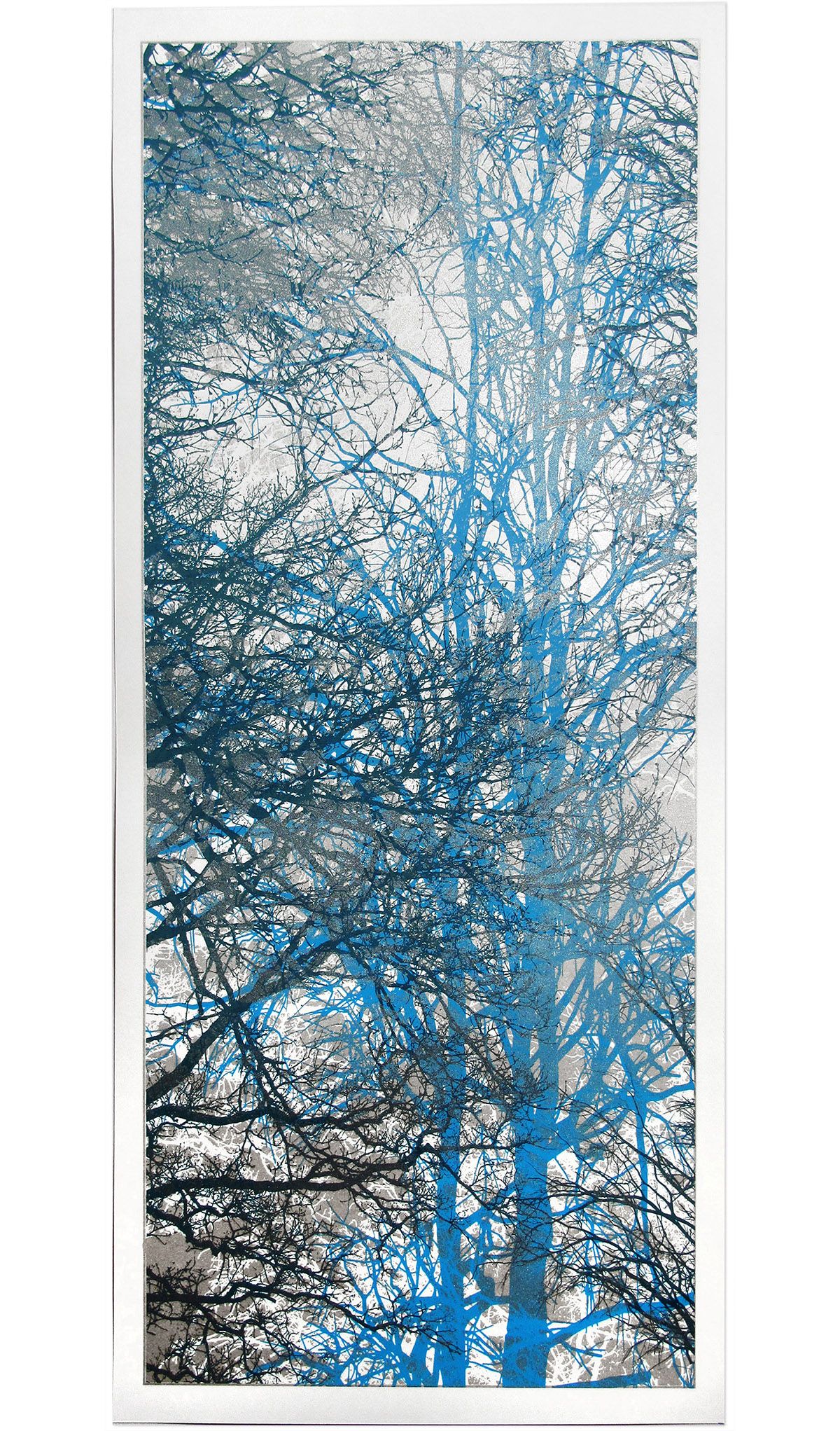 Silverwood by Chris Keegan