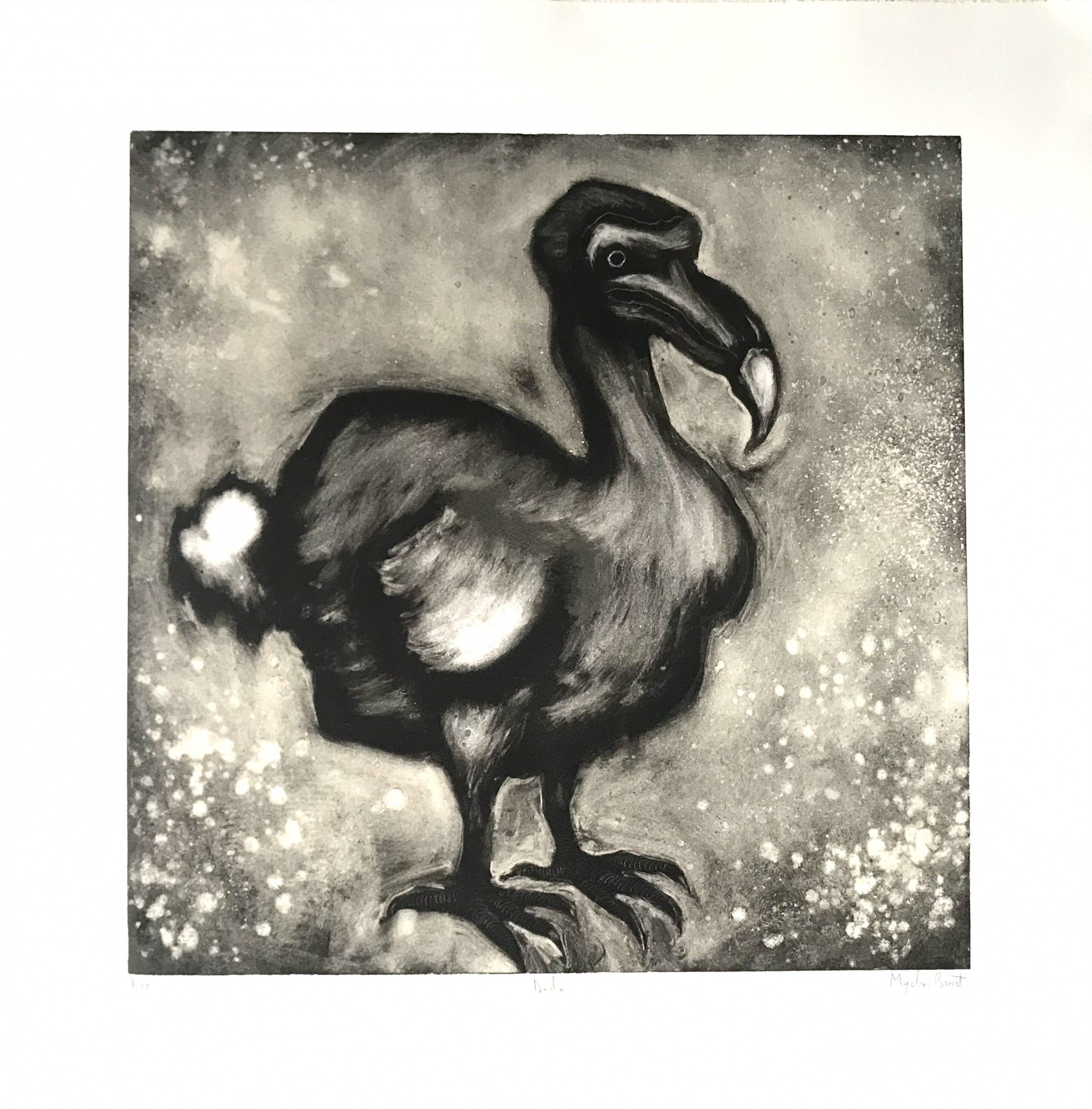 Dodo by Mychael Barratt by Mychael Barratt