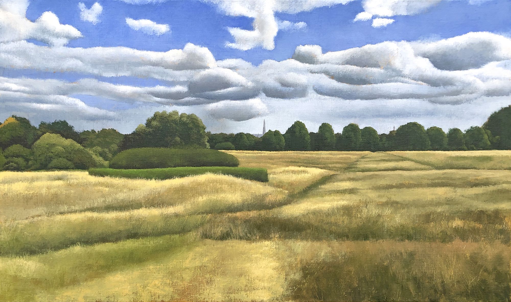 Hampstead Heath by Tim Woodcock-Jones