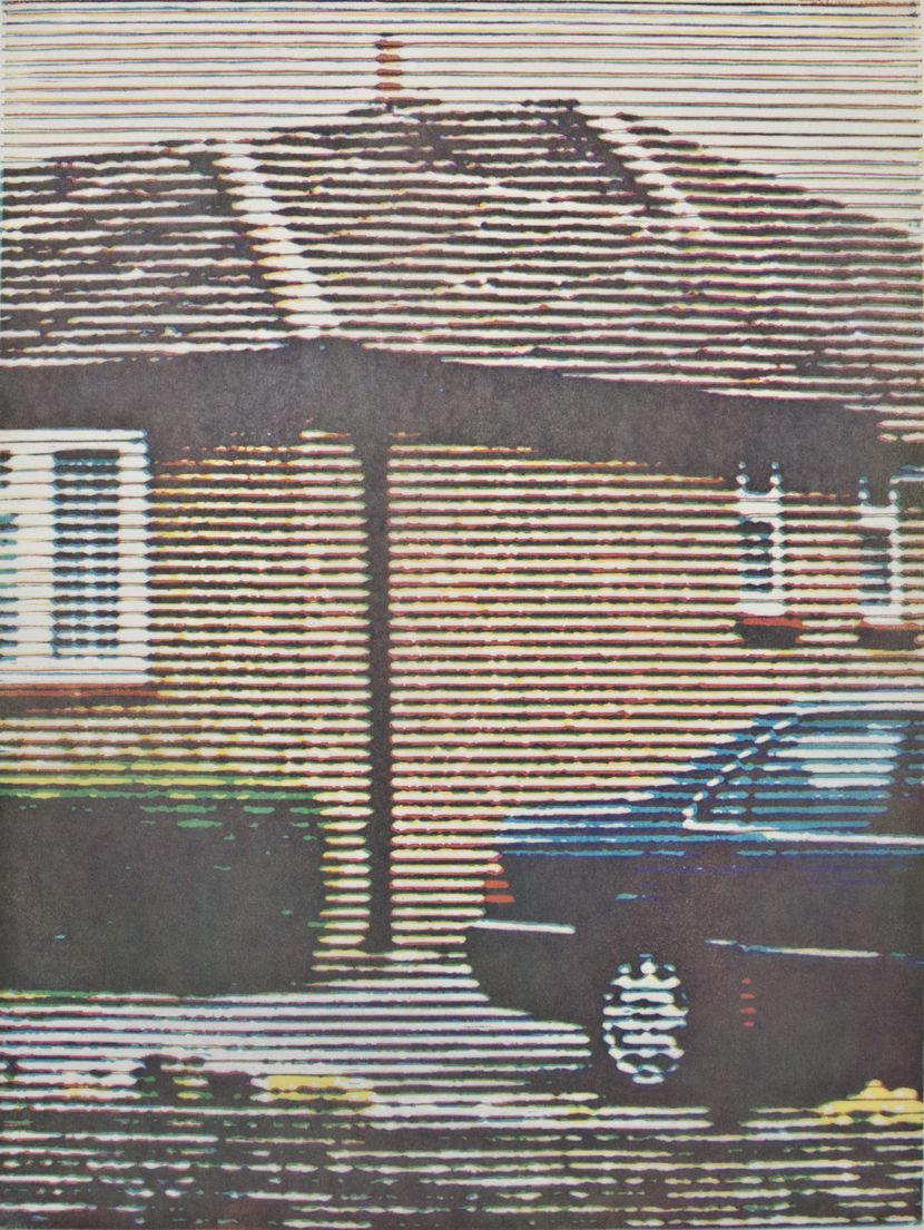 Visitor by Trevor Banthorpe