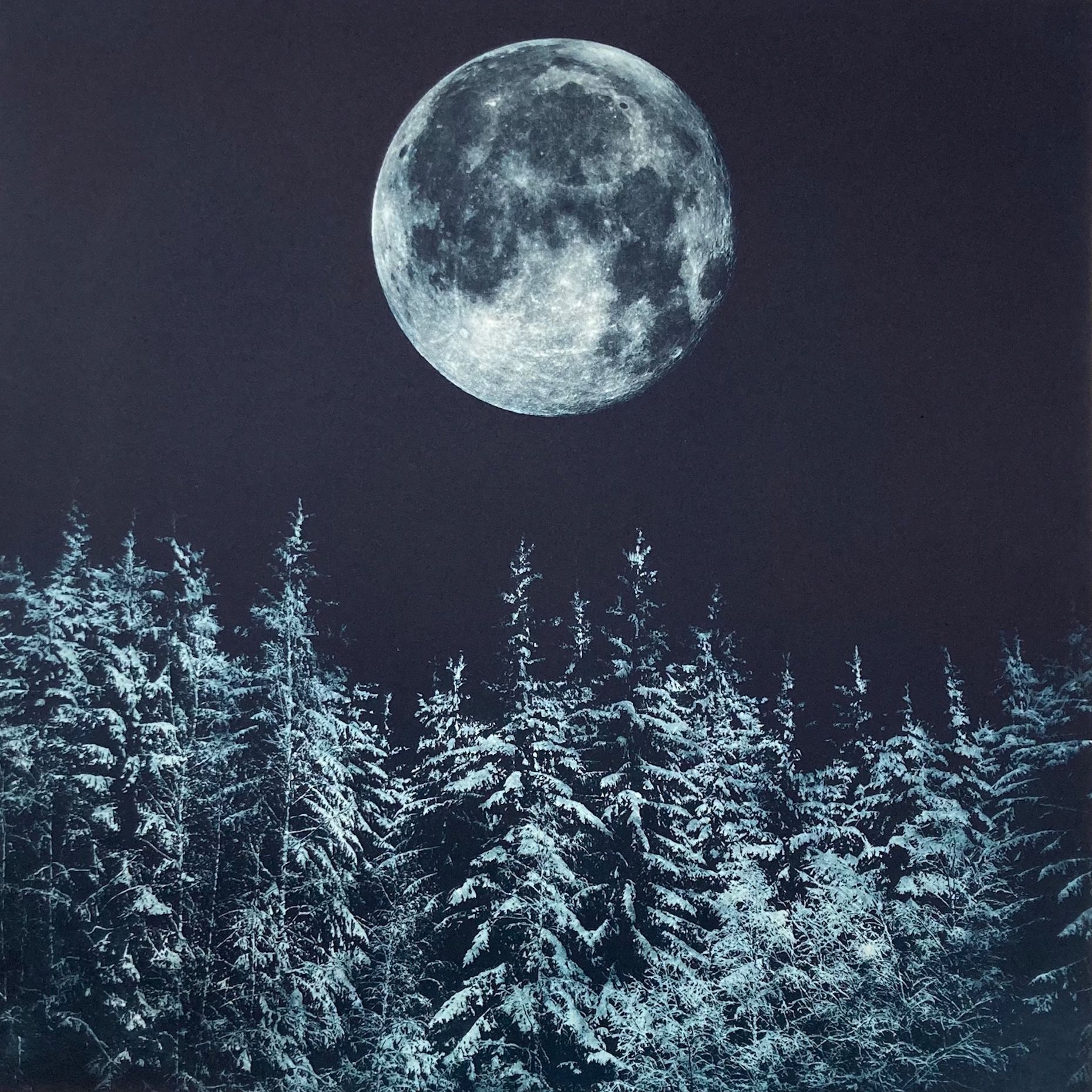 Tumma by Sarah Duncan