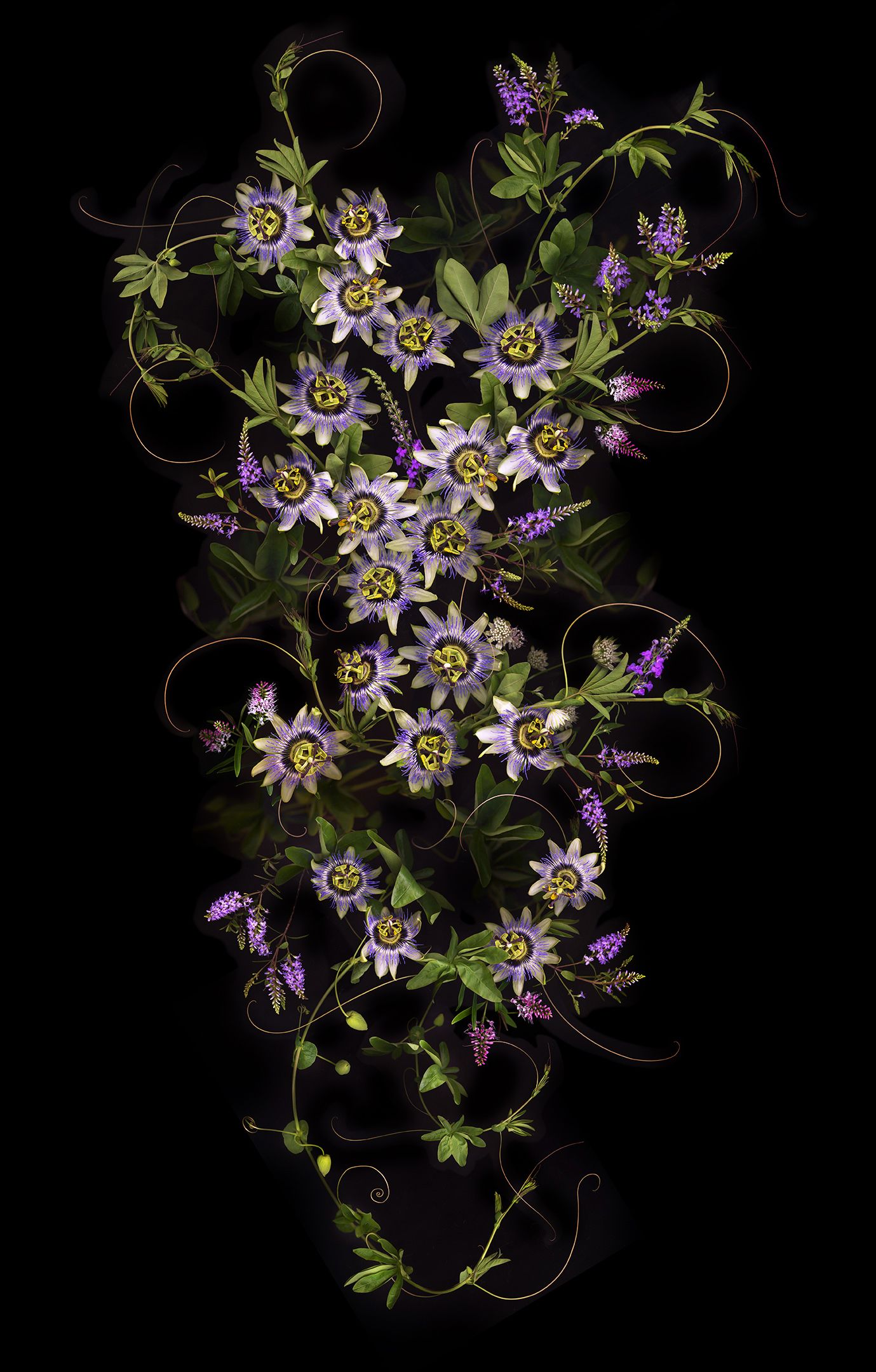 Western Lullabys N°4 by Allan Forsyth by Allan Forsyth