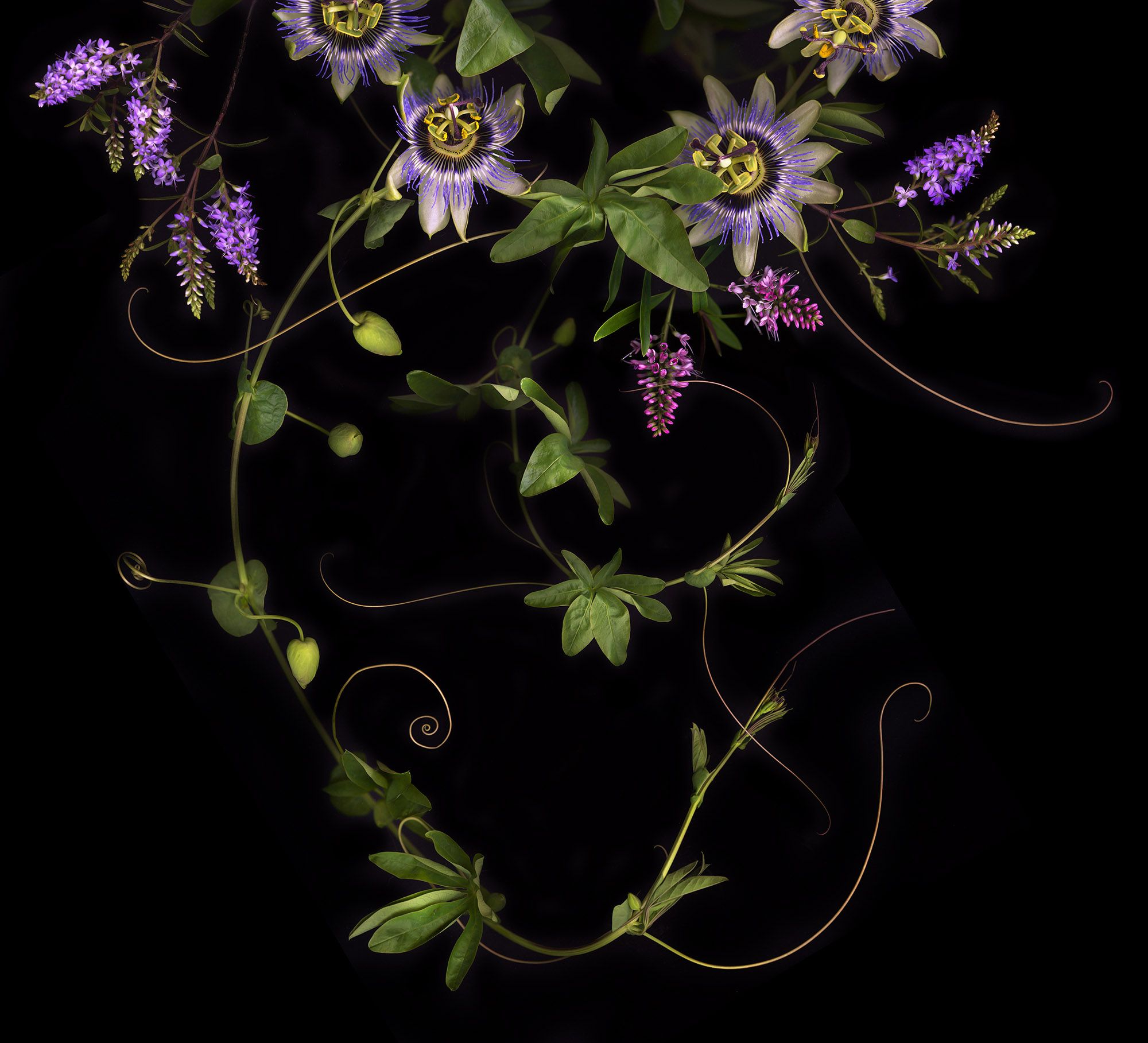 Western Lullabys N°4 by Allan Forsyth by Allan Forsyth - Secondary Image