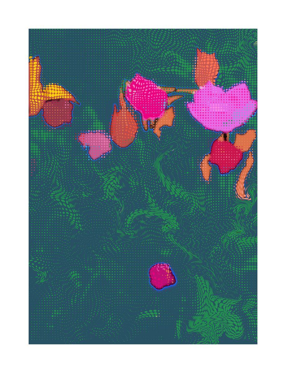 WILD BUNCH 1 by Johnny Bull