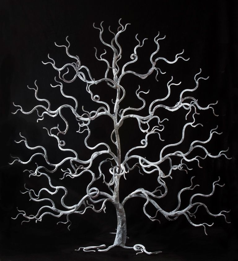 The Forever Daylesford Oak by Christopher Townsend